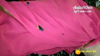 Indian anita bhabi ki pink saree me chudai indian sex video